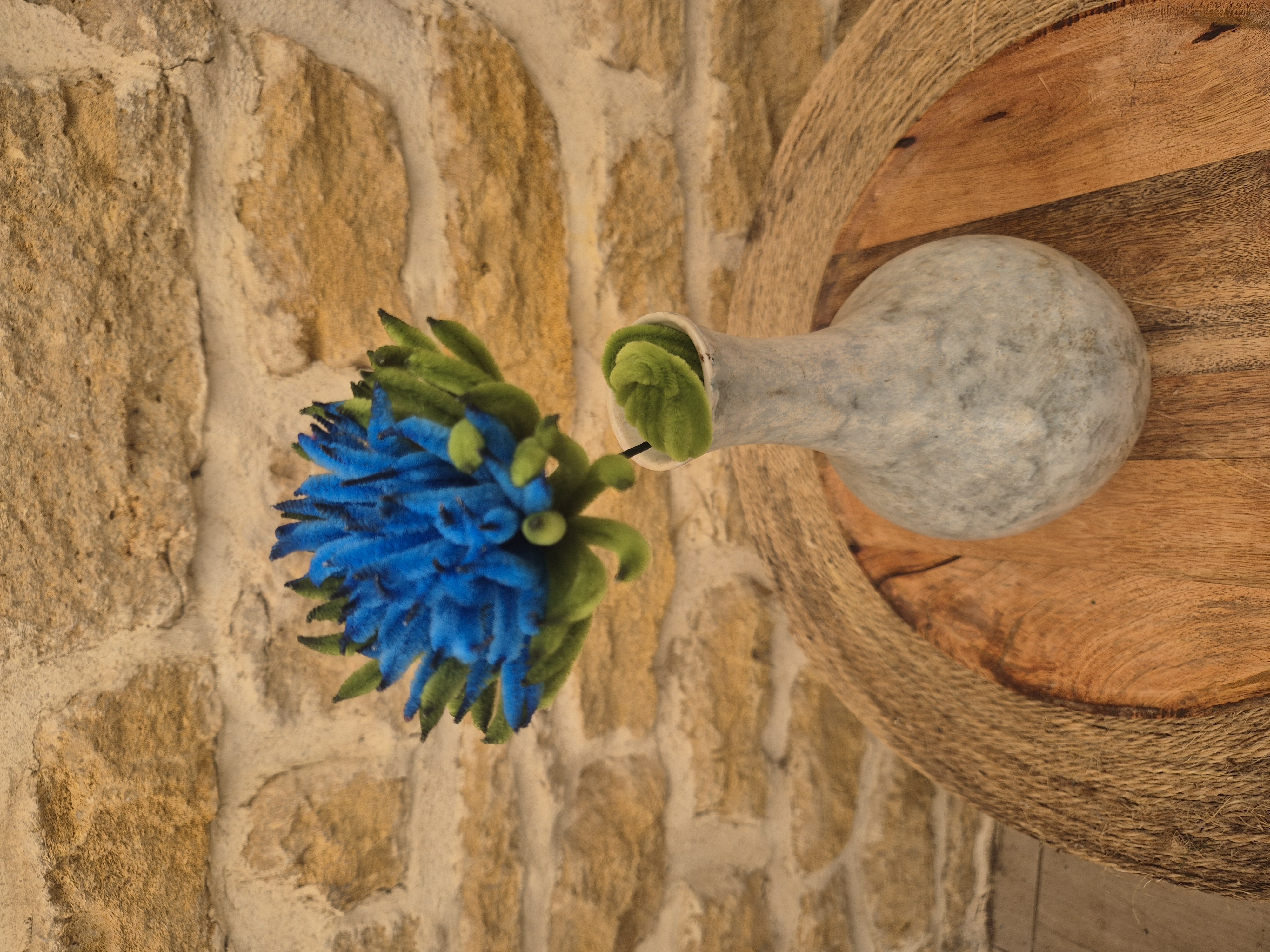 Chrysanthème bleue foncé