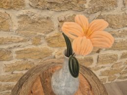 Grand lys orange clair
