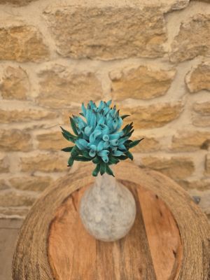 Chrysanthème bleu turquoise