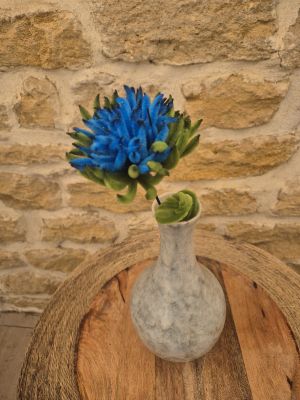 Chrysanthème bleue foncé
