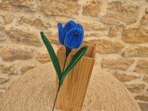 Tulipe cure pipe bleue