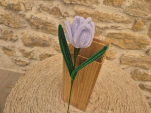 Tulipe cure pipe violet clair