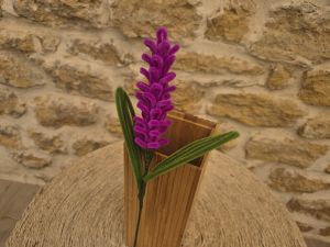 Lavande cure pipe violette