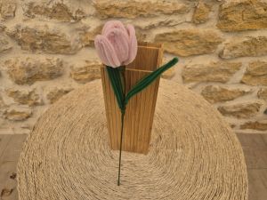 Tulipe cure pipe rose