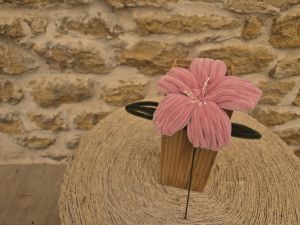 Lys cure pipe vieux rose pistilles blancs