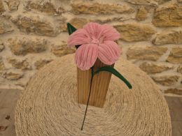 Lys cure pipe vieux rose pistilles dorés