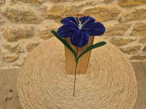 Lys cure pipe bleu foncé pistilles blancs