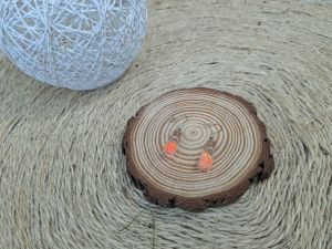 Boucles d'oreilles Tranche d'Orange