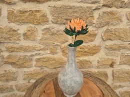 Chrysanthème orange clair